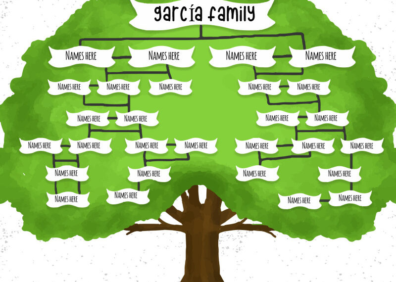 Guía para crear un árbol genealógico impresionante y sorprender a tu familia