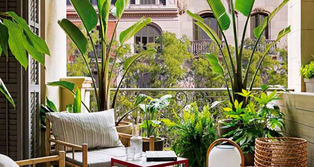 Transforma tu hogar en un oasis de color con estas ideas de pintura para interiores