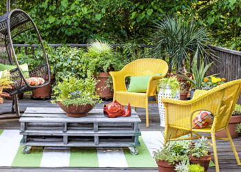 Transforma tu jardín en un oasis campestre con estas ideas impresionantes