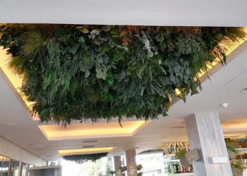Transforma tu techo en un paraíso con estas ingeniosas ideas de decoración
