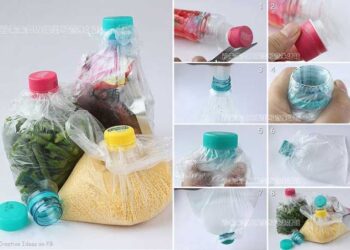 Transforma tus garrafas de plástico con ideas ingeniosas