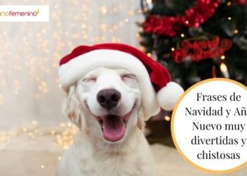 Descubre las mejores ideas para sorprender con tus felicitaciones de Navidad