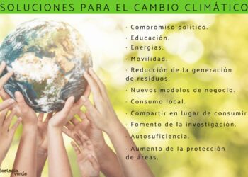 Descubre las sorprendentes soluciones para salvar nuestro planeta del cambio climático