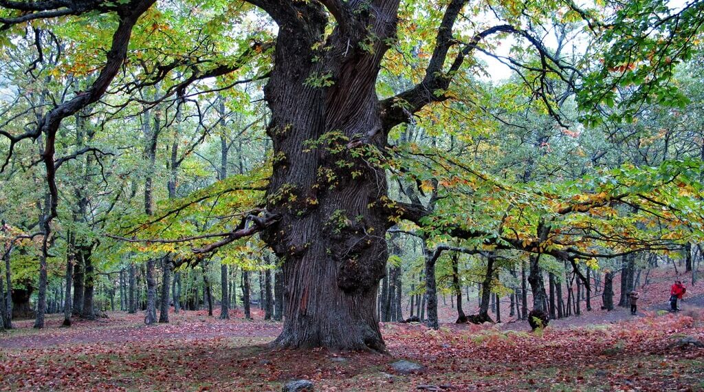 Descubre los destinos más sorprendentes para una escapada de otoño en España