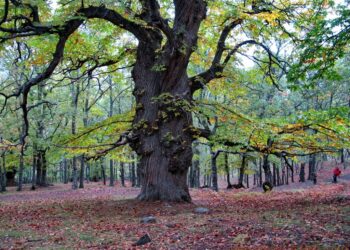Descubre los destinos más sorprendentes para una escapada de otoño en España